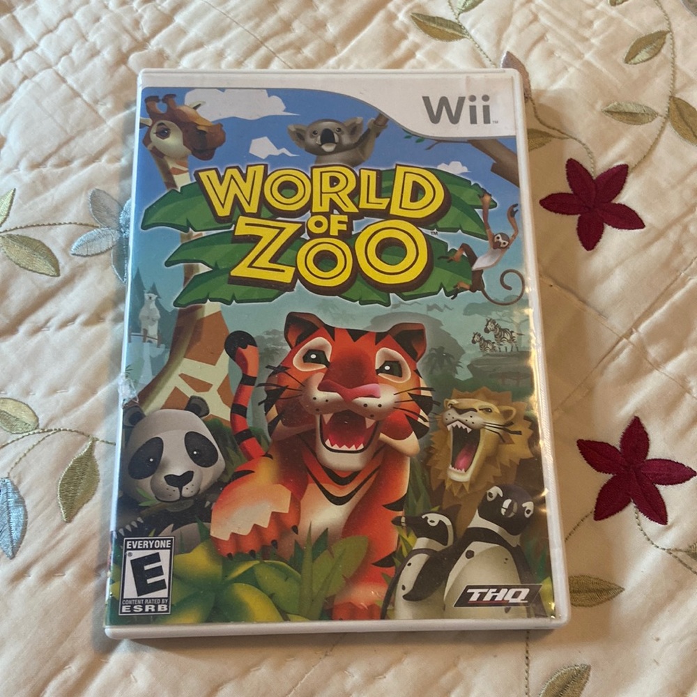 Wii game